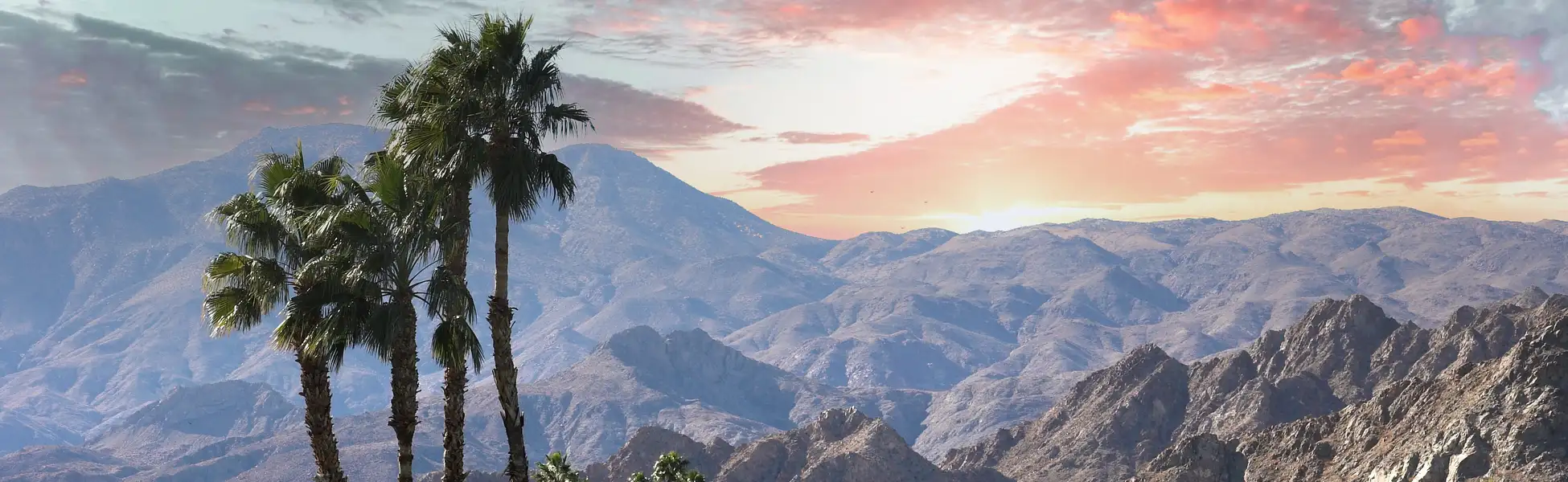 Neon color image of a band playing and people singing along